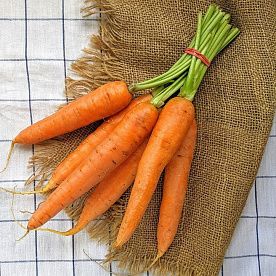 Морковь молодая, ферма Сергея Зверева